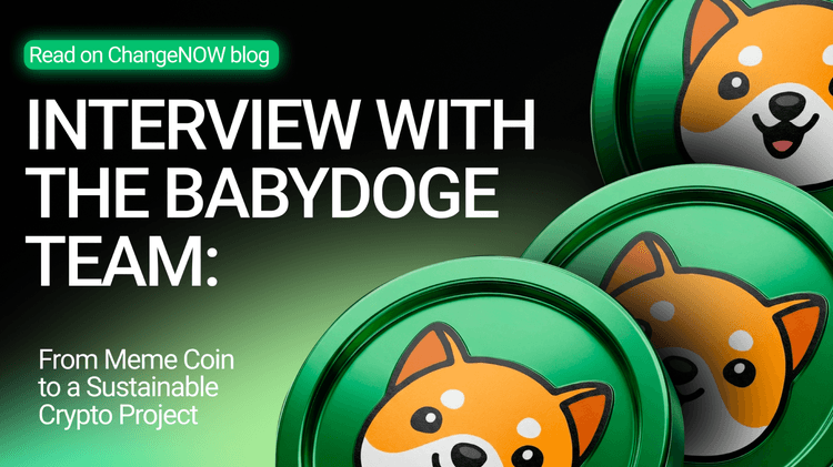 Interview with the BabyDoge Team: From Meme Coin to a Sustainable Crypto Project